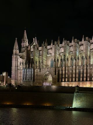#AugustTravelSupport

📍 Palma, Mallorca Night View — The Romantic Light of the Mediterranean at Night

Palma at night possesses a charm entirely different from its daytime counterpart.
The tranquil harbor and quaint buildings sparkle under the lights,
making you feel as if you've stepped into a fairytale.

A stroll around Palma Cathedral and the seaside promenade, both famous for their night views, is a must-do.

The scent of the sea swaying in the breeze and the gentle sound of the waves
calm the bustle of the city and soothe your mind.

A glass of wine at a café or bar
makes the night even more special.

The atmosphere and the beauty of the alleyways, which can't be fully captured in photos,
are Palma's true charm that you must experience in person.

However, please be careful late at night.

⸻

🕰️ Recommended Times
• Best from sunset to 11 PM

📍 Location
• Around Palma Cathedral, Palma Port, Passeig des Born

⸻

#MallorcaNightView #PalmaCathedral #MediterraneanNightView #PalmaNightViewRecommended #SpainTravel #MallorcaTravel #NightViewRestaurants #TravelInspiration #EuropeTravel #OverseasTravel #SpainTravel