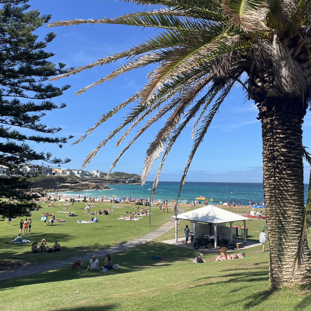 로망의 도시 ‘시드니’ 🇦🇺 로망의 도시 ‘시드니’ 🇦🇺