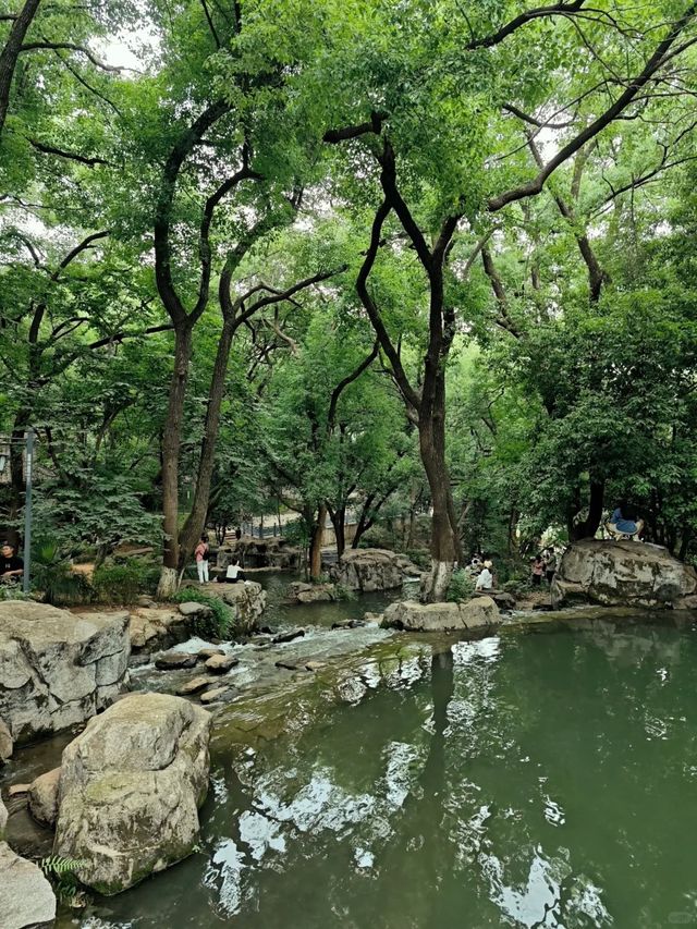 天然氧吧—武陵山國家森林公園—一秒穿越原始叢林的秘境