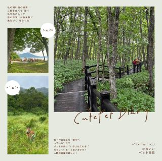 Kurosawa Wetlands—Picturesque Scenery