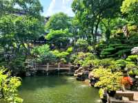 Wandering Through Yu Garden, Shanghai