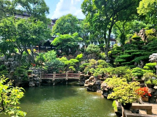 Wandering Through Yu Garden, Shanghai