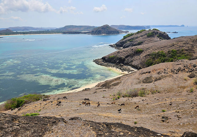Bukit Merese – Lombok’s Hill with a Million-Dollar View!