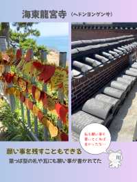 【釜山】パワースポット海東龍宮寺 海に建つ珍しいお寺✨