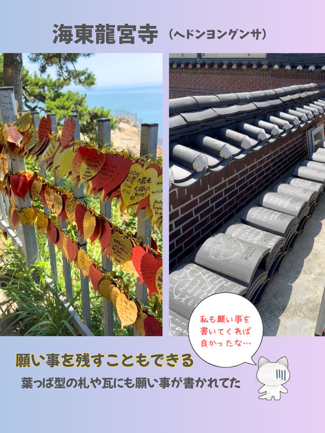 【釜山】パワースポット海東龍宮寺 海に建つ珍しいお寺✨ 【釜山】パワースポット海東龍宮寺 海に建つ珍しいお寺✨