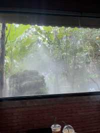 หนีจากความวุ่นวาย…สู่ cafe ป่า