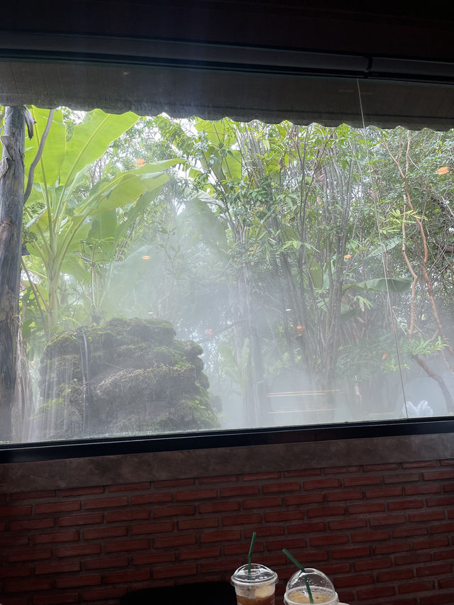 หนีจากความวุ่นวาย…สู่ cafe ป่า