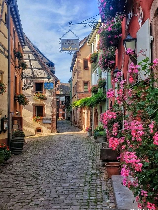 🍇🏰 Riquewihr: Alsace’s Fairy-Tale Wine Village