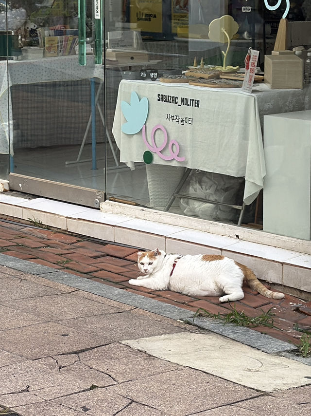 목포 여행 코스 추천 🦋