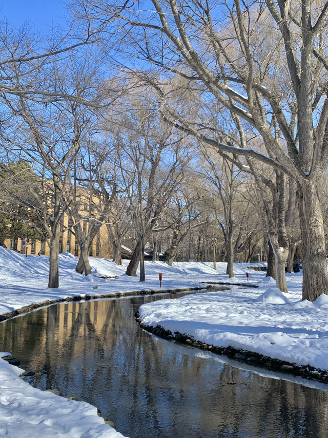 올 겨울은 일본 눈의 낭만, 홋카이도에서 보내보세요! ❄️