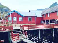 Discovering the Charm of Å in the Lofoten Islands 
