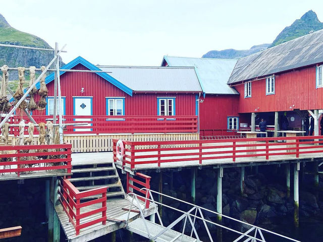 Discovering the Charm of Å in the Lofoten Islands 