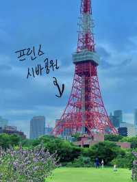 🌇 도쿄 타워! 여기서 감상해요~!👍