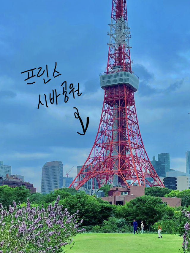 🌇 도쿄 타워! 여기서 감상해요~!👍