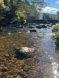 Meech Lake – A Serene Escape in Gatineau Park