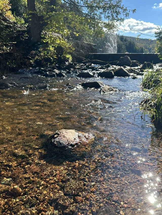 Meech Lake – A Serene Escape in Gatineau Park