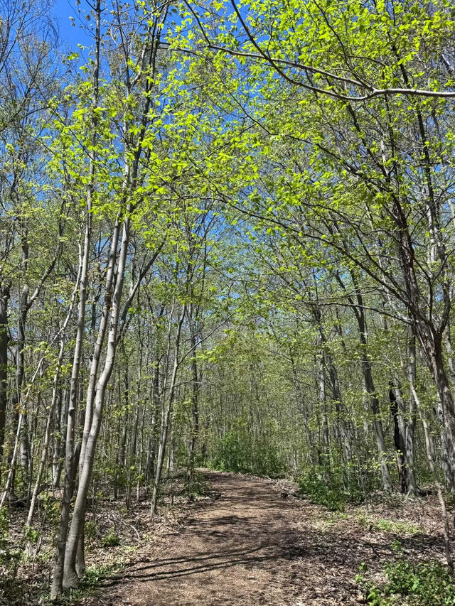 L’Amoreaux North Park – A Peaceful Urban Escape in Toronto