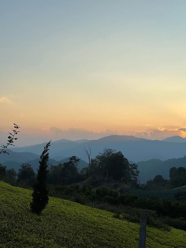 พาไปเที่ยวเชียงใหม่ดูวิวภูเขากัน ⛰️🌳 พาไปเที่ยวเชียงใหม่ดูวิวภูเขากัน ⛰️🌳