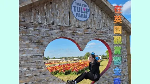 Ngắm hoa tulip ở Anh — traveler post in Crawley
