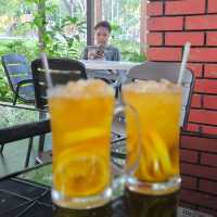 A hidden gem in Penang Youth Park