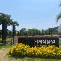 🌿 거제식물원, 사계절 푸르름이 가득한 힐링 공간