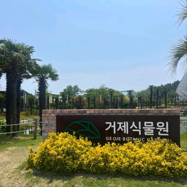 🌿 거제식물원, 사계절 푸르름이 가득한 힐링 공간
