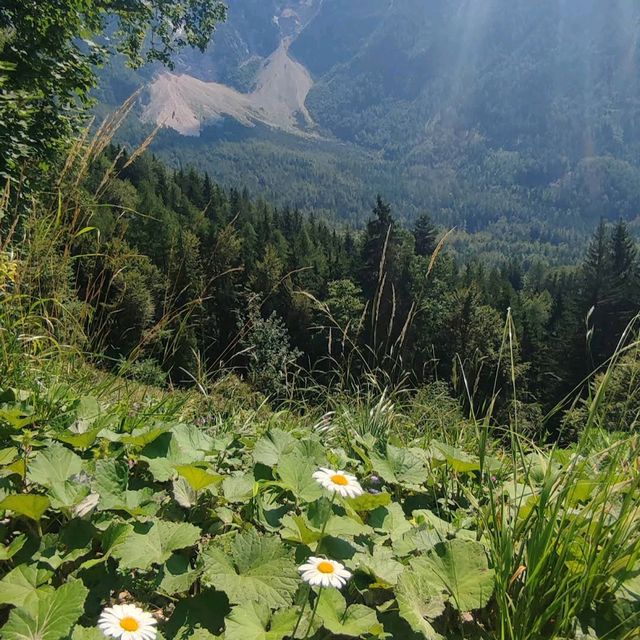 Lake Zgornje Jezersko