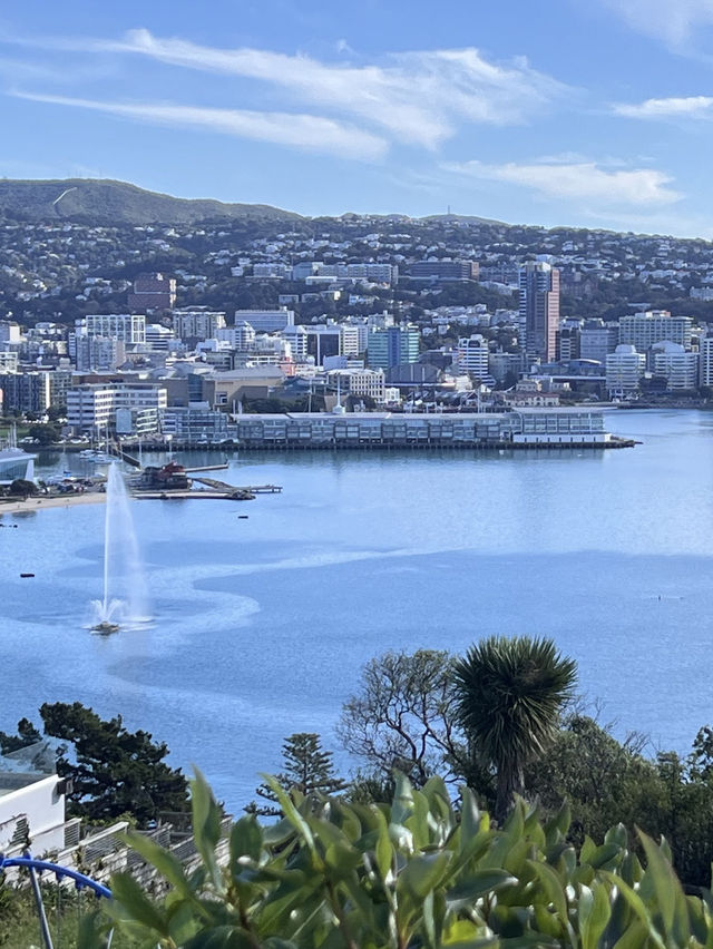 Nature’s Canvas: Exploring New Zealand’s Living Landscapes 