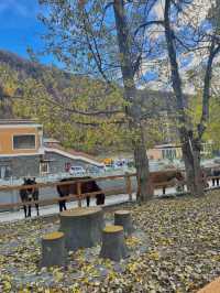 เมืองสี่ดรุณี Siguniang Town