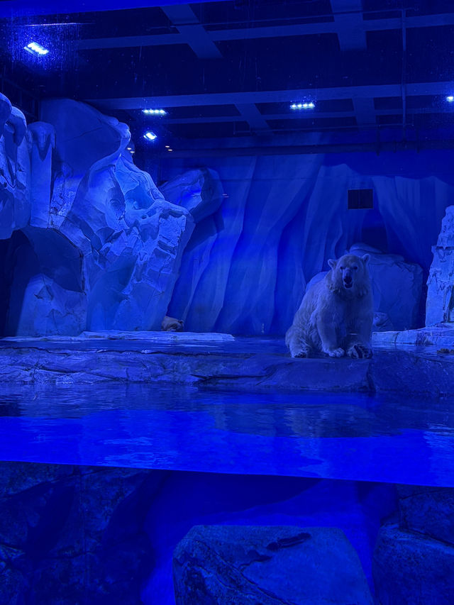 HaiChang Ocean Park ShangHai