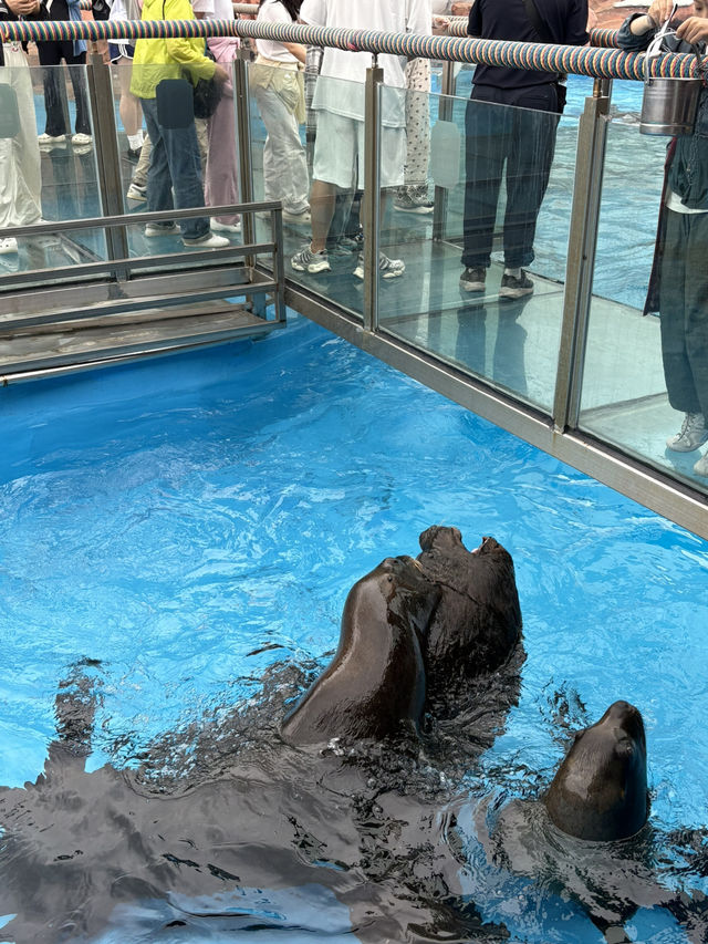 HaiChang Ocean Park ShangHai