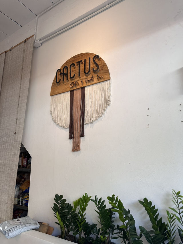Cactus คาเฟ่กระบองเพชร 🌵✨ Cactus คาเฟ่กระบองเพชร 🌵✨