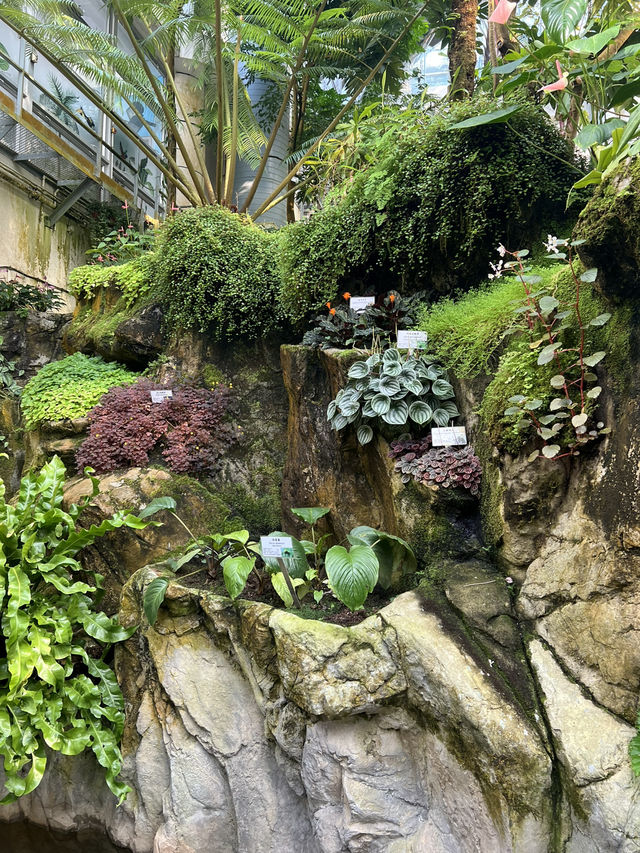 香港公園霍士傑溫室