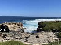 The wildest part of rottnest coast island