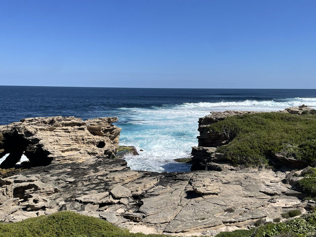 The wildest part of rottnest coast island