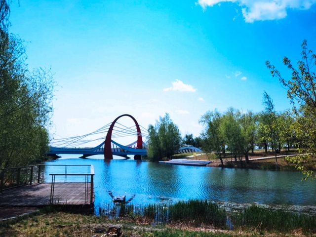 鶴鳴湖公園週末打卡放鬆首選