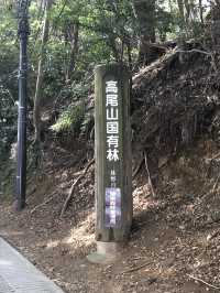 🚡高尾山一日遊：纜車體驗×登山散策×美食享受