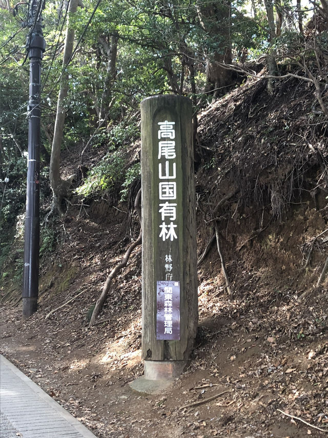 🚡高尾山一日遊：纜車體驗×登山散策×美食享受