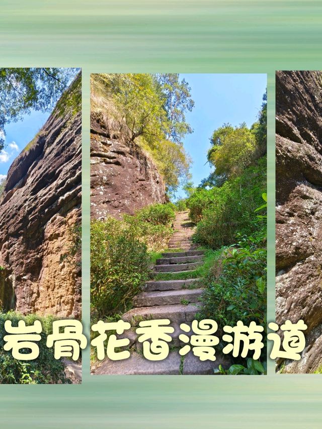 武夷山4日3夜悠閒遊。