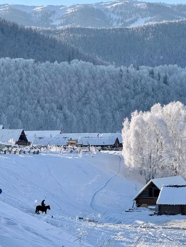 Xinjiang Winter