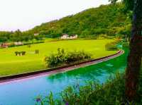 Green Escape in the City: Discovering Jordan Valley Park