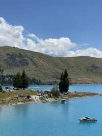 【ニュージーランド・テカポ】青と緑が織りなす絶景の湖「テカポ湖」💙🏞️