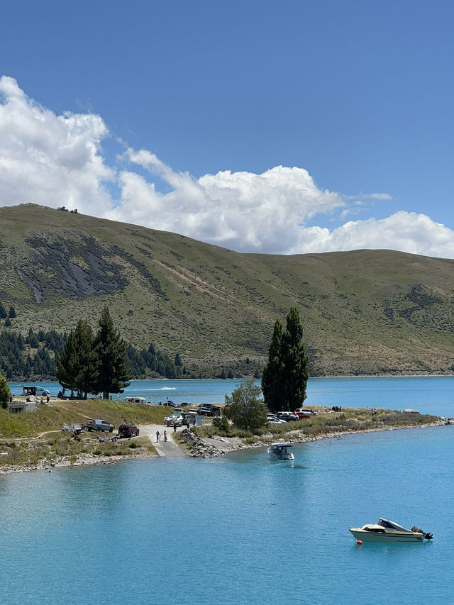 【ニュージーランド・テカポ】青と緑が織りなす絶景の湖「テカポ湖」💙🏞️