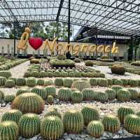 🌿 Chonburi Nong Nooch Tropical Botanical Garden — Guide