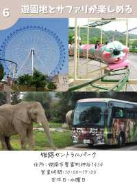 【兵庫】秋のおでかけ　おすすめ7選
