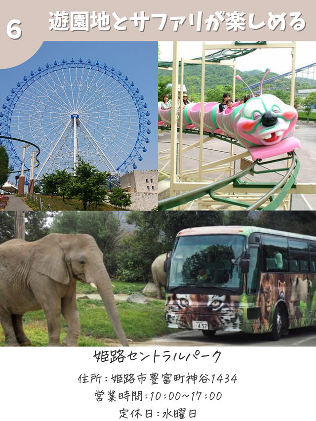 【兵庫】秋のおでかけ　おすすめ7選