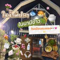 ✨👀💗🍚🐟ในน้ำมีปลา ในนามีข้าว ในเมืองระยอง 🐡🥙
