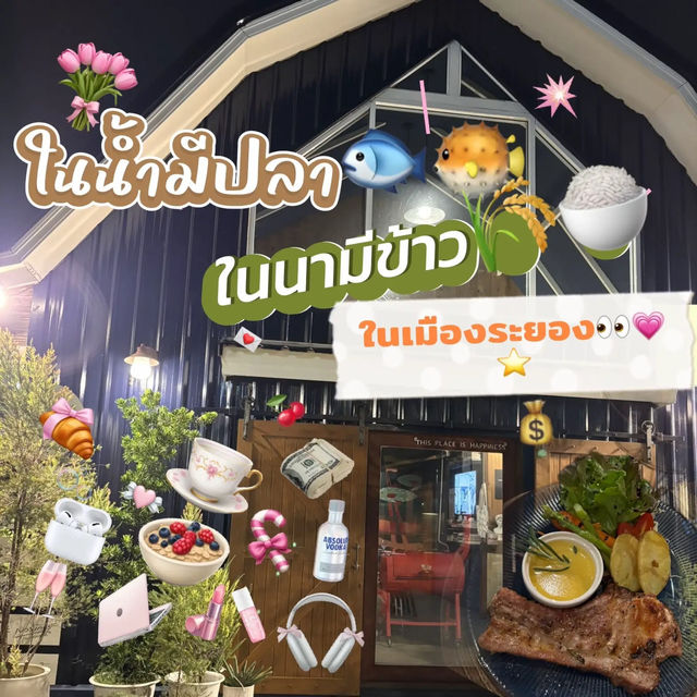 ✨👀💗🍚🐟ในน้ำมีปลา ในนามีข้าว ในเมืองระยอง 🐡🥙