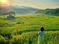 ✨🌿 Discover the Hidden Gem of Pù Luông, Vietnam! 🌿✨