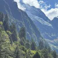 Yubeng Village Sacred Forest: A Mystical Walk Among Giants 🌲🙏